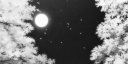 𑣲⋆｡˚  Ꮒꫀᥲ᥎ꫀᥒ'᥉ ᥴᥲᖯเᥒ Discord Server Banner