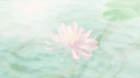 NOVA Discord Server Banner
