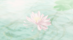 NOVA Discord Server Banner