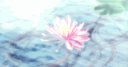 NOVA Discord Server Banner