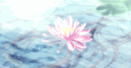 NOVA Discord Server Banner