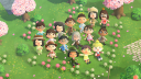 🌱 Animal Crossing Treasure Hub 🌱 Discord Server Banner
