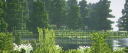 xFave Hive Community Discord Server Banner
