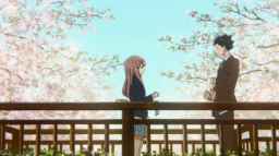 🎐 ⁺ Discord Server Banner