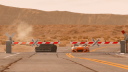 Hawkpawk Discord Server Banner