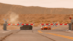 Hawkpawk Discord Server Banner