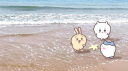 Wholesome chaos Discord Server Banner