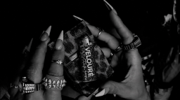 愛 / veloure 夢⁺ active Discord Server Banner