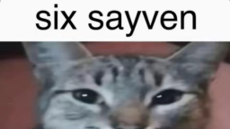 Snoly server Discord Server Banner