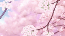 ૮  ›  𖥦  ‹  ྀིა 　🌸   　︵　 sweetest　 ✿ Discord Server Banner