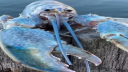 Strata Czasu Discord Server Banner