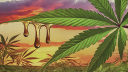 Cewpins Smoke Sesh Discord Server Banner