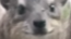 NeetWorks °Д° Discord Server Banner
