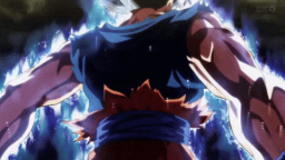 Dragon Ball Turkiye Discord Server Banner