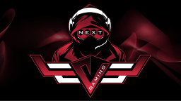 Next Level Gaming Discord Server Banner