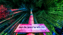 Electric Forest Discord Server Banner