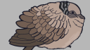 Aotearoa New Zealand Discord Server Banner
