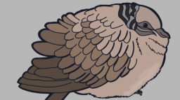 Aotearoa New Zealand Discord Server Banner