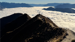 Aotearoa New Zealand Discord Server Banner