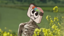 Movies & Filmmaking Discord Server Banner