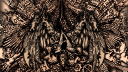 Assassin! Discord Server Banner