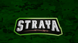 StrayaGaming Discord Server Banner
