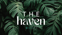 The Haven Discord Server Banner