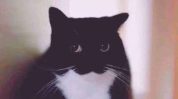 China Town Discord Server Banner