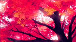 RedFox Community Discord Server Banner