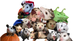 Tarantula Addicts Discord Server Banner