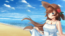 AniLibria Discord Server Banner
