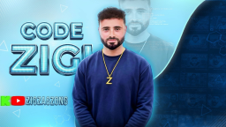 ZigZagZong Discord Server Banner