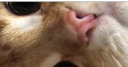 Frogger Nation Discord Server Banner