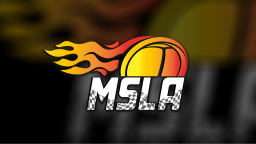 MSLA Racing Network Discord Server Banner