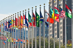 Vexillology Discord Server Banner