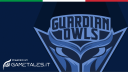 Guardian OWLS - gametales.it Discord Server Banner