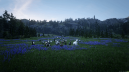 The Rift Trails Discord Server Banner