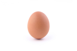 EGG Discord Server Banner