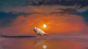 Avatar Discord Server Banner