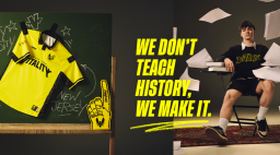 TEAM VITALITY Discord Server Banner