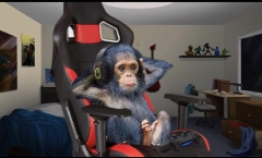 Elina's Monkeys Discord Server Banner