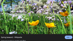 π± Whimsical Builder π
Discord Server Banner