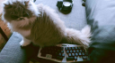 Mekaniska Tangentbord Sverige Discord Server Banner