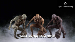 Crypto Zombie Society™ Discord Server Banner