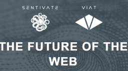 Sentivate Discord Server Banner