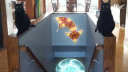Sherpa Run Discord Server Banner