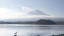 Japan & Japan Travel Discord Server Banner