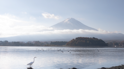 Japan & Japan Travel Discord Server Banner