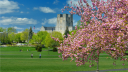 Virginia Tech Discord Server Banner