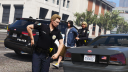 Unofficial LSPDFR Support Server (ULSS) Discord Server Banner